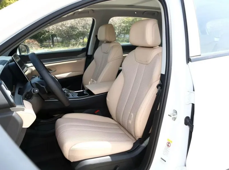 BYS SONG PRO INTERIOR 1 BYS SONG PRO INTERIOR 1